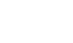 Bark Hotel for Dogs